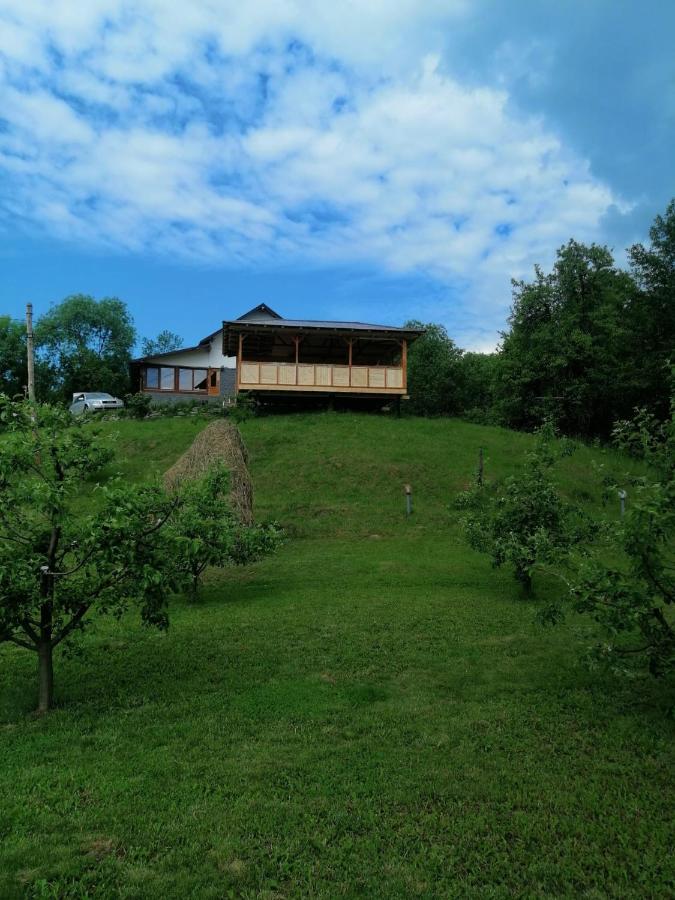 Casa Veche Corbeni Hotel Buitenkant foto