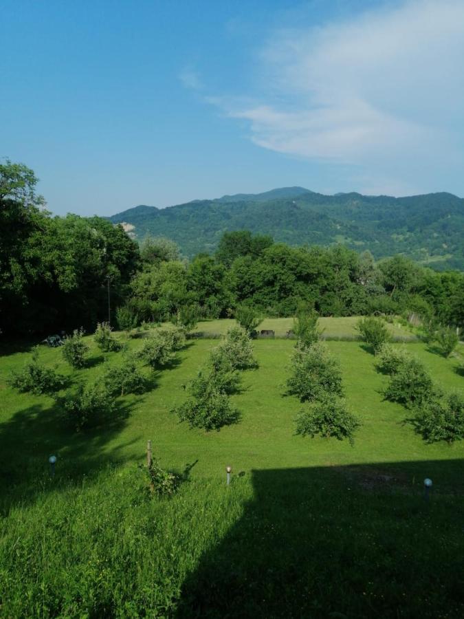 Casa Veche Corbeni Hotel Buitenkant foto