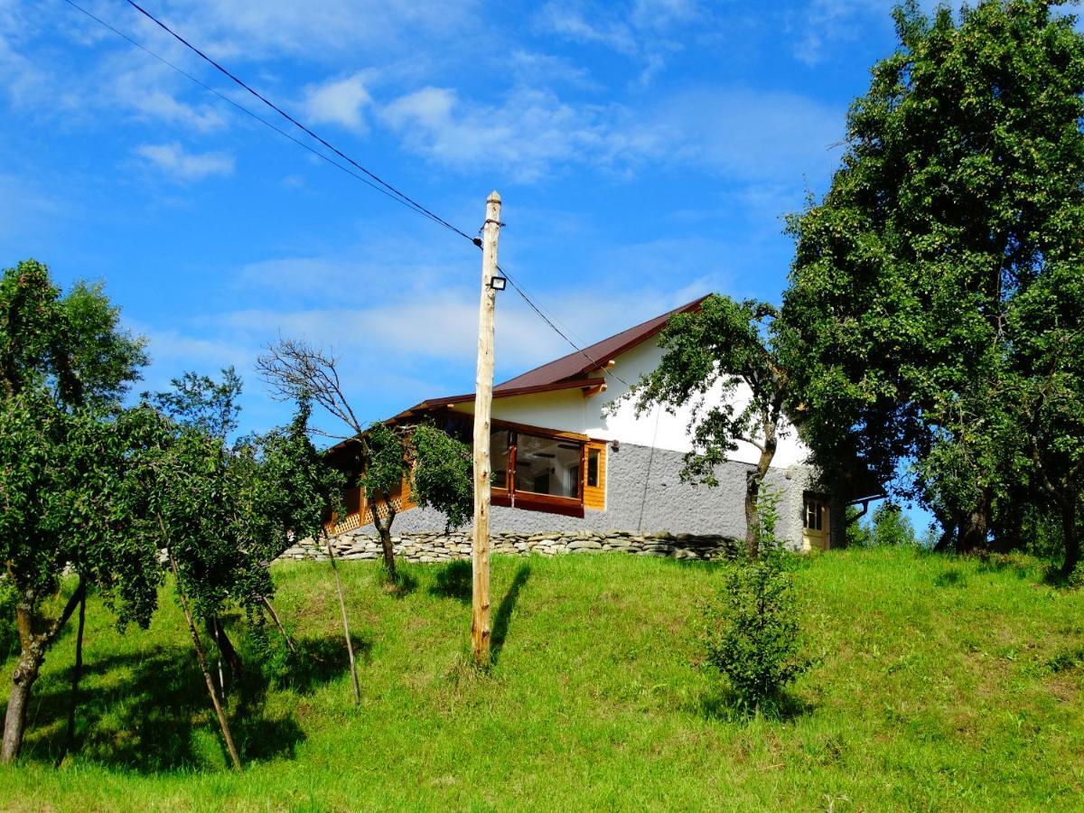 Casa Veche Corbeni Hotel Buitenkant foto