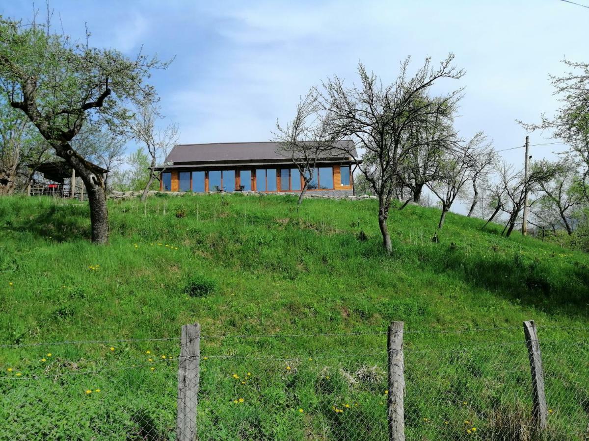 Casa Veche Corbeni Hotel Buitenkant foto